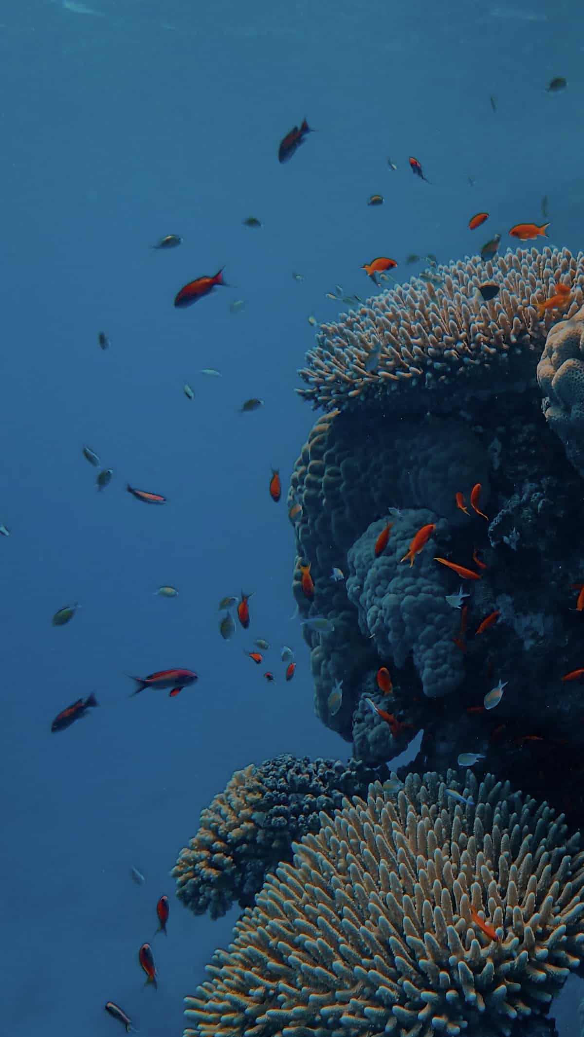 Benetti-HOY-Hybrid-Yachts-Sustainability-06-Partners-Bg-Mobile