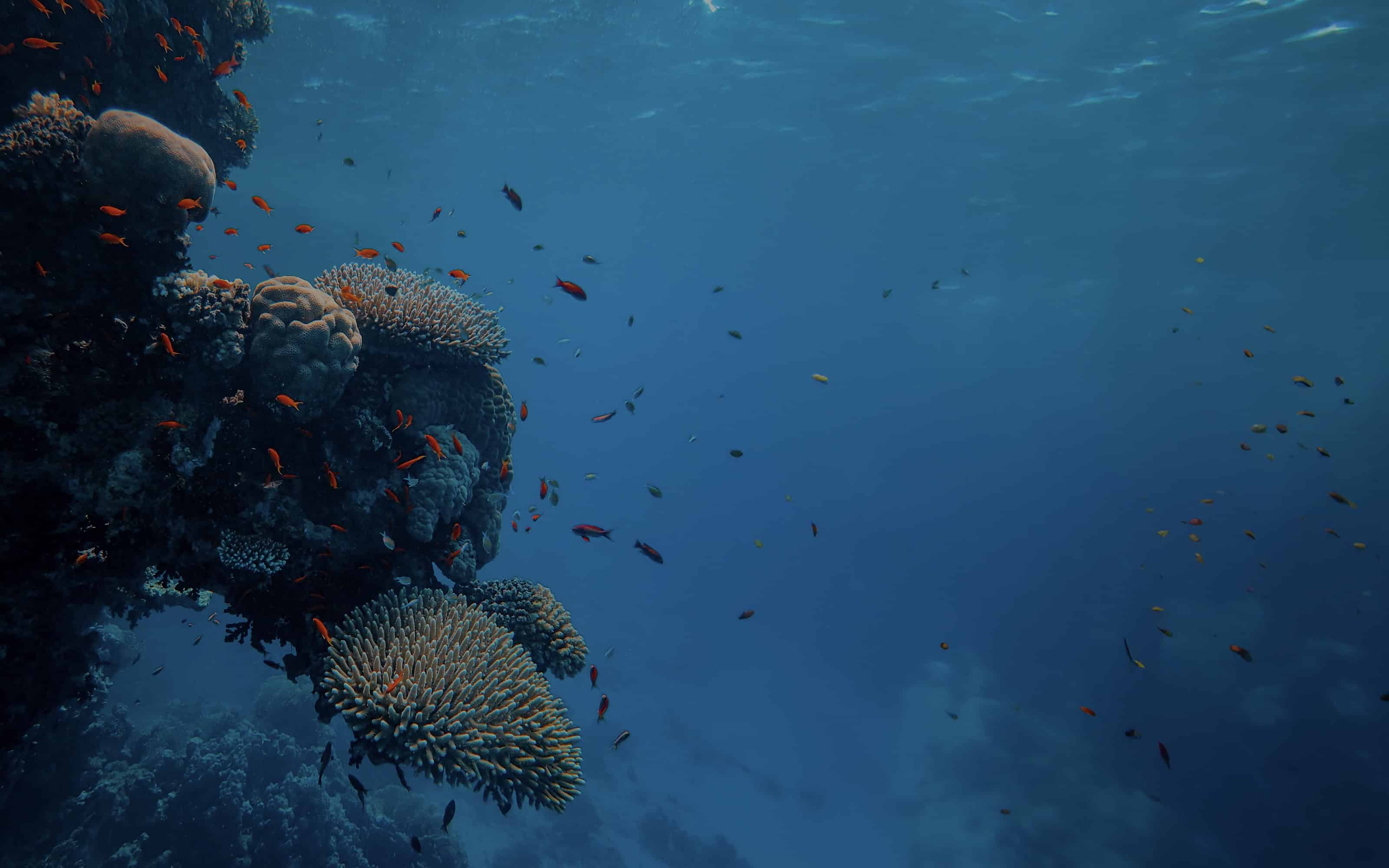 Benetti-HOY-Hybrid-Yachts-Sustainability-06-Partners-Bg