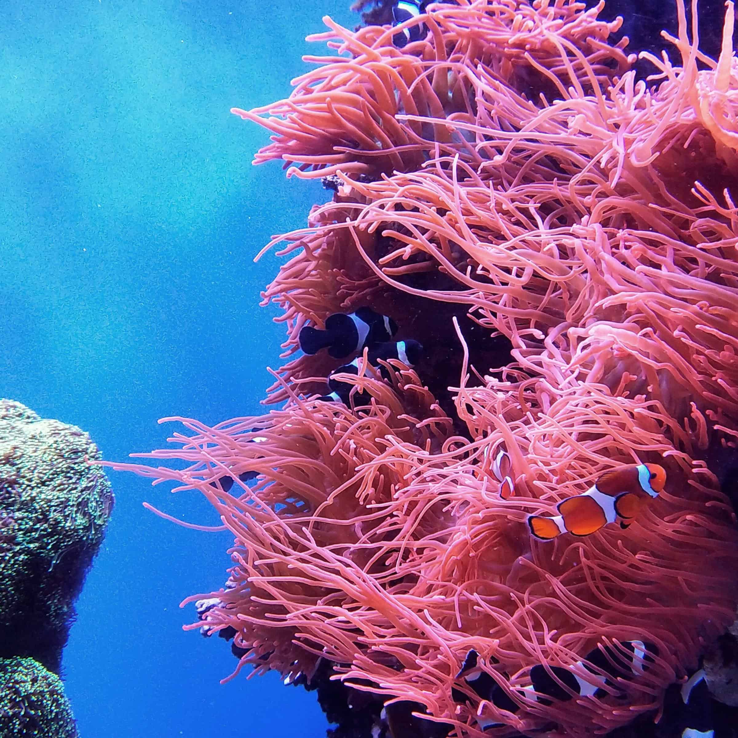 Benetti-HOY-Hybrid-Yachts-Sustainability-06-Partners-Detail